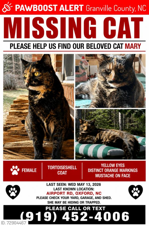 Lost Female Cat last seen Airport road, Granville County, NC 27565