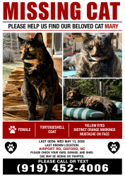 Lost Female Cat last seen Airport road, Granville County, NC 27565