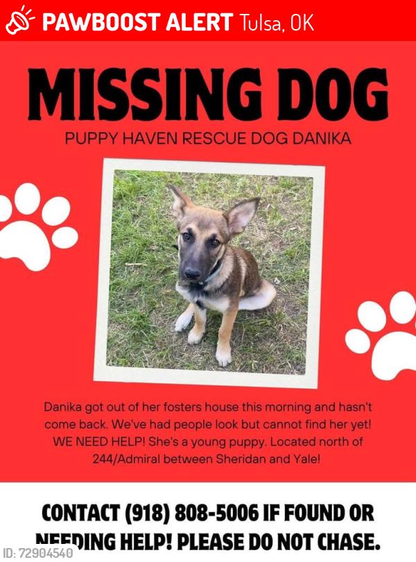 Lost Female Dog last seen 244/Admiral between Sheridan and Yale in Tulsa, Tulsa, OK 74115