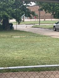 Found/Stray Unknown Dog last seen By Sunnylane, Oklahoma City, OK 73135