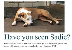Lost Female Dog last seen Sycamore and Narcissus , Lake Jackson, TX 77566