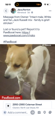 Lost Male Dog last seen Cheyenne and Allen, North Las Vegas, NV 89032