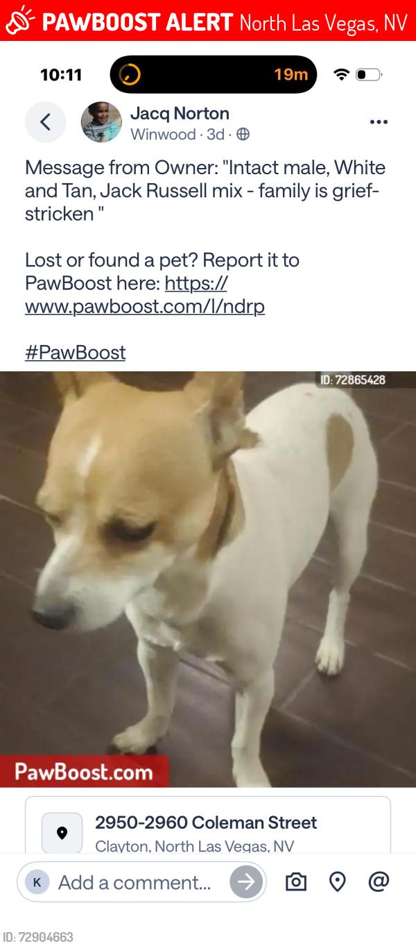 Lost Male Dog last seen Cheyenne and Allen, North Las Vegas, NV 89032
