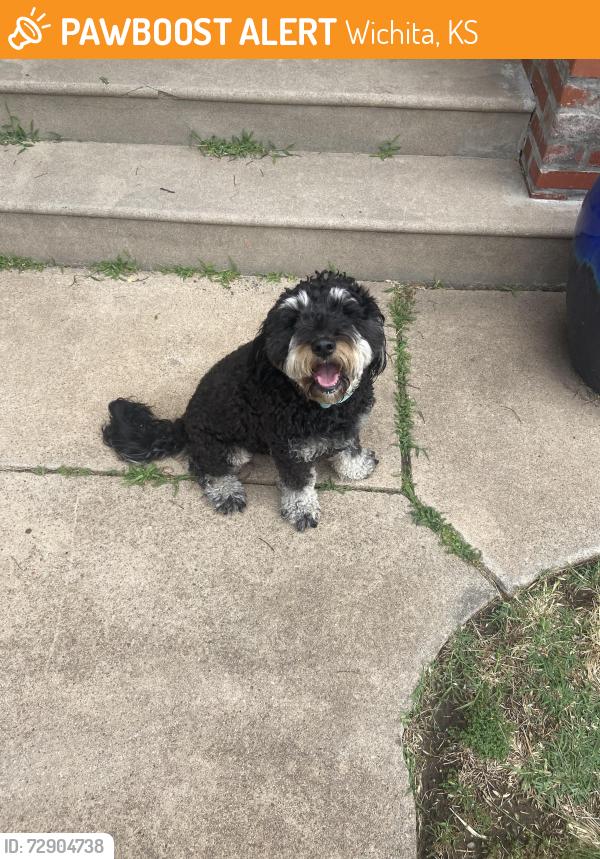 Found/Stray Unknown Dog last seen Near block of W Murdock Riverside area, Wichita, KS 67203