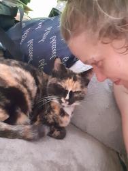 Lost Female Cat last seen Behind Ford dealers ship, Palm Bay, FL 32909