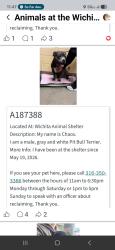 Found/Stray Male Dog last seen Wichita Animal shelter, Wichita, KS 67202