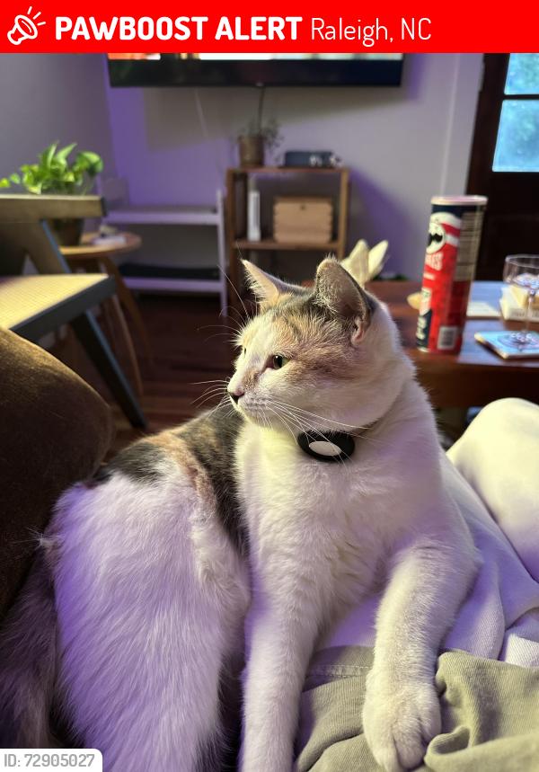 Lost Female Cat last seen Walnut Creek Trail off of Garner Road, Raleigh, NC 27601