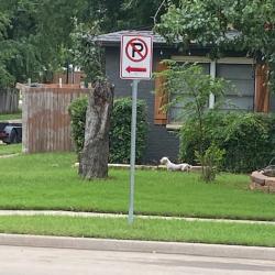 Found/Stray Male Dog last seen Valley View and Hensley, Arlington, TX 76010