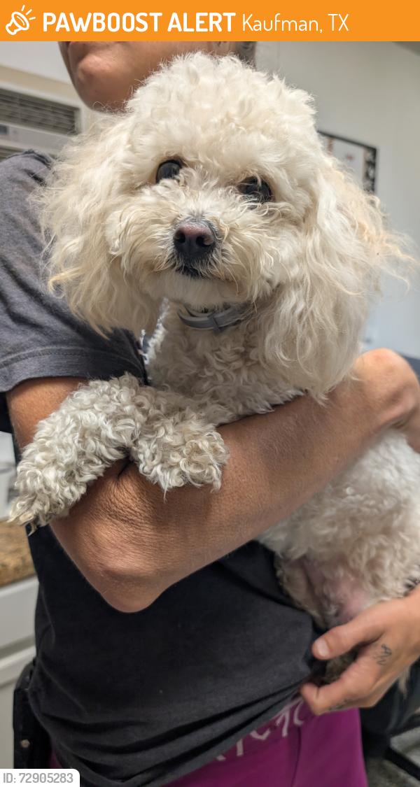 Found/Stray Unknown Dog last seen South Houston St, Kaufman, TX 75142