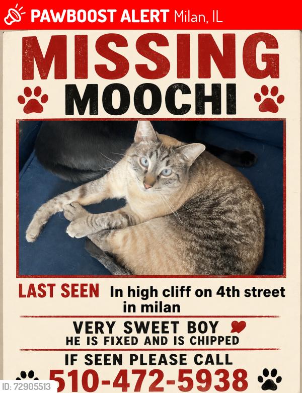 Lost Male Cat last seen high cliff trailers, Milan, IL 61264