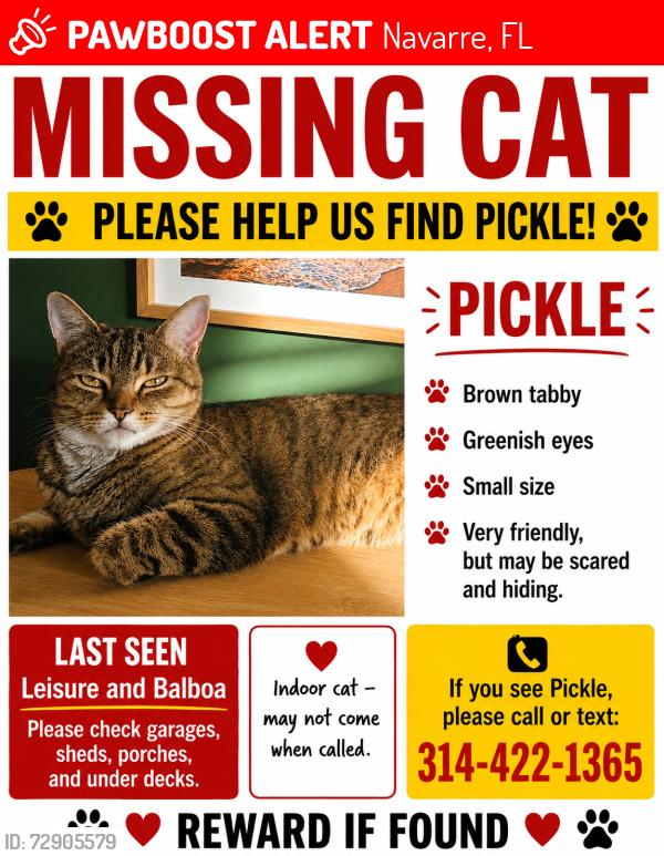 Lost Female Cat last seen Leisure and Balboa , Navarre, FL 32566