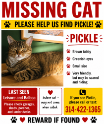 Lost Female Cat last seen Leisure and Balboa , Navarre, FL 32566