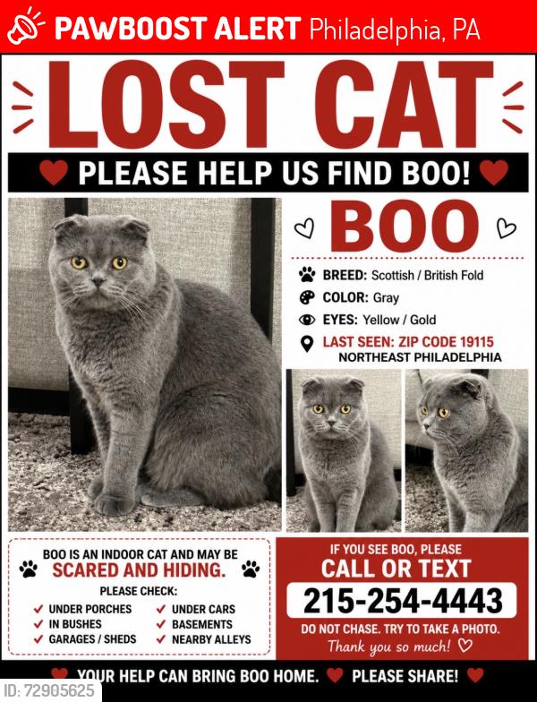 Lost Male Cat last seen Near bowler at , Philadelphia, PA 19115