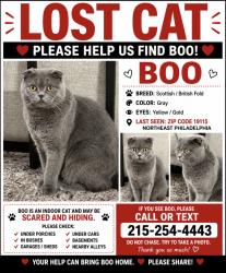 Lost Male Cat last seen Near bowler at , Philadelphia, PA 19115