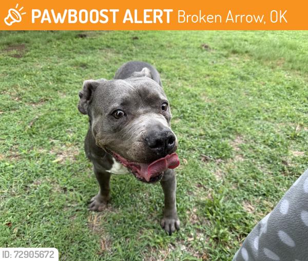 Found/Stray Male Dog last seen Broken arrow , Broken Arrow, OK 74014