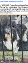 Found/Stray Unknown Dog last seen 44th & S. Champlain, Chicago, IL 60653