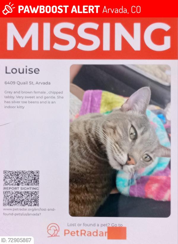 Lost Female Cat last seen Ralston park apmts , Arvada, CO 80004