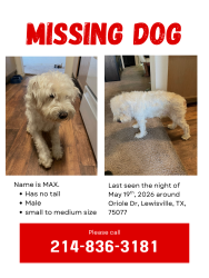 Reunited Male Dog last seen Lewisville lake , Lewisville, TX 75077