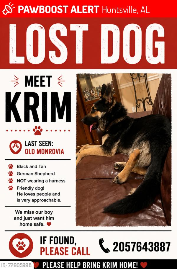 Lost Male Dog last seen Walmart, Huntsville, AL 35806