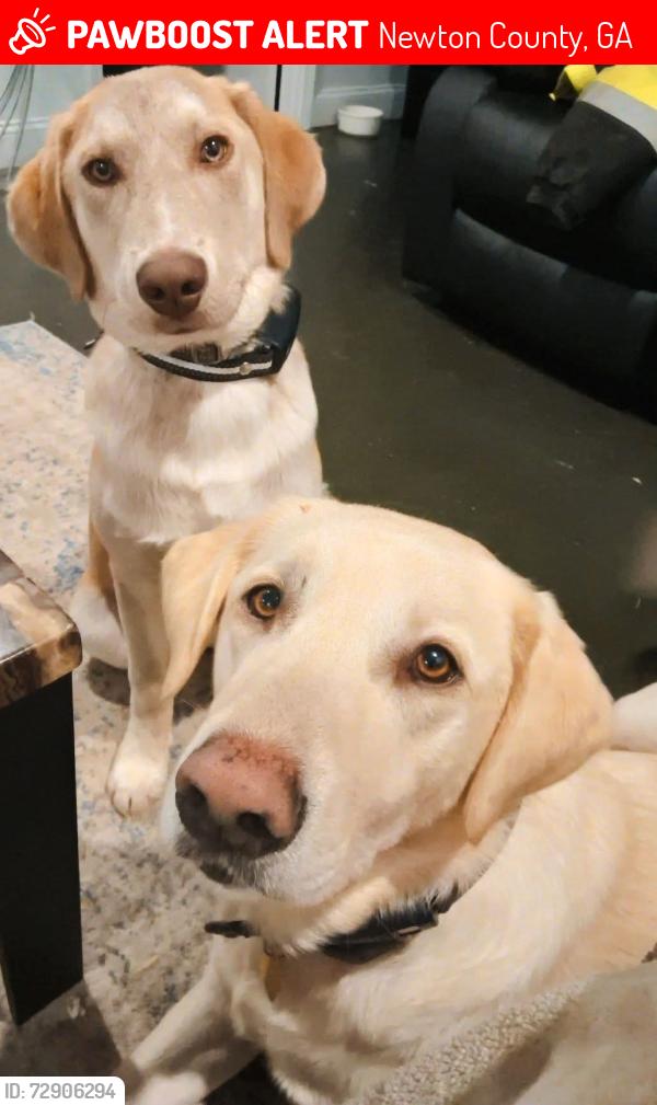 Lost Male Other last seen Rita court, Newton County, GA 30016