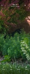 Found/Stray Unknown Cat last seen Melrose St and long ave , Chicago, IL 60641