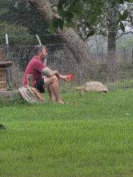 Lost Male Other last seen Near mcguire rd new market TN, New Market, TN 37820