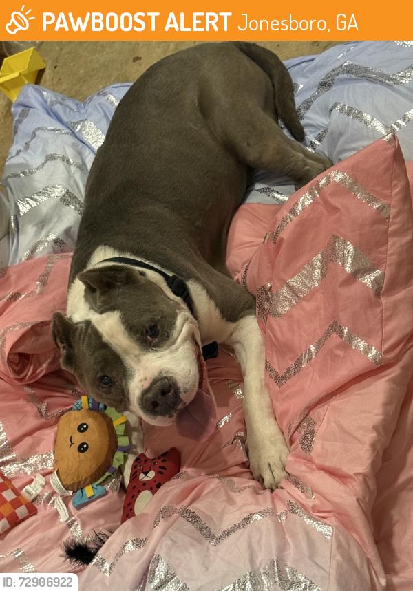 Found/Stray Male Dog last seen Folsom rd, Jonesboro, GA 30236