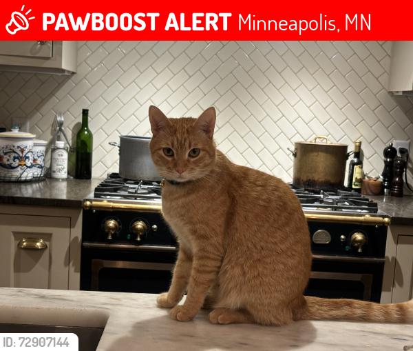 Lost Male Cat last seen Annaway and Merilane, Minneapolis, MN 55436