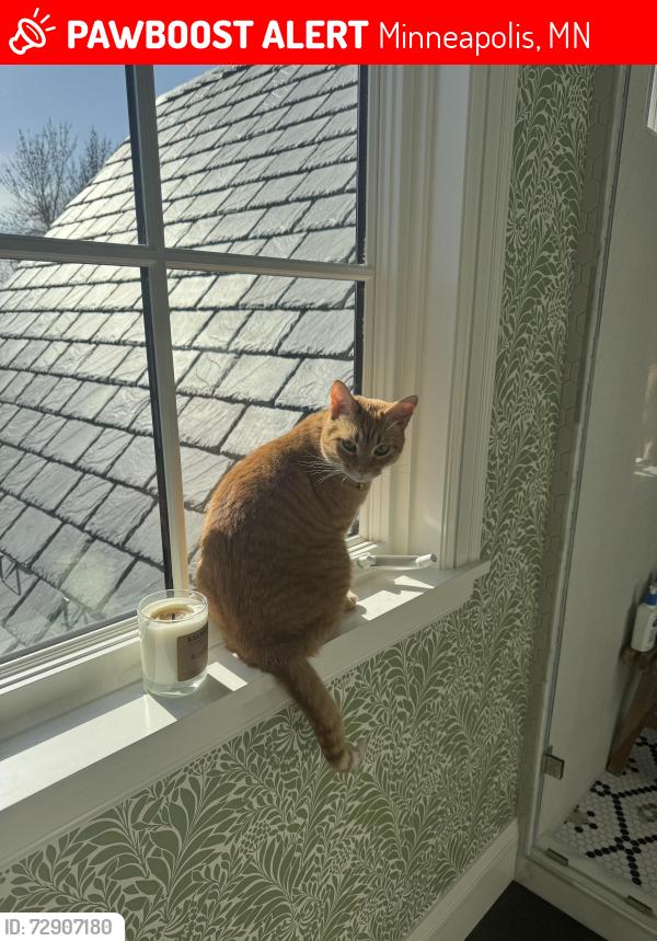 Lost Male Cat last seen Merilane and Annaway, Minneapolis, MN 55436