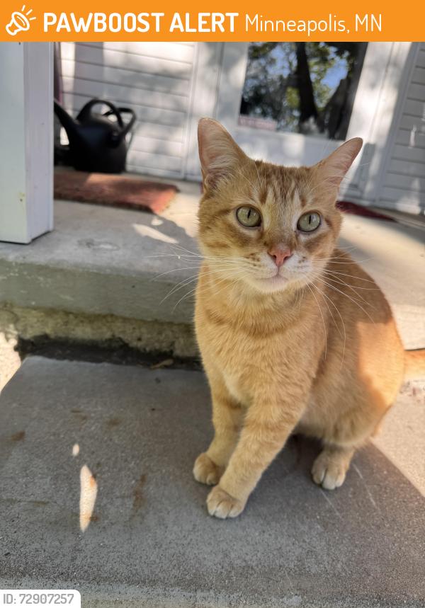 Found/Stray Male Cat last seen 47th and Upton , Minneapolis, MN 55410