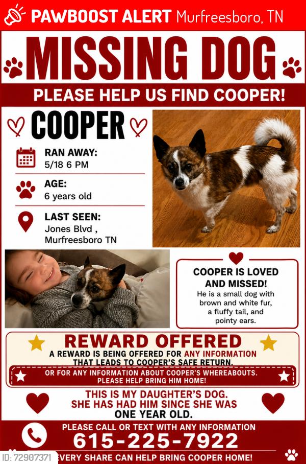 Lost Male Dog last seen Northfield Boulevard, Murfreesboro, TN 37129