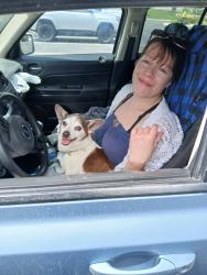 Lost Male Dog last seen Highland st and Lincoln , Chandler, AZ 85224