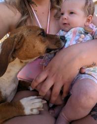 Reunited Male Dog last seen Near block past Woodrow road , Lubbock, TX 79423