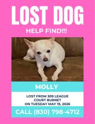 Lost Female Dog last seen Coke St, Burnet, TX 78611