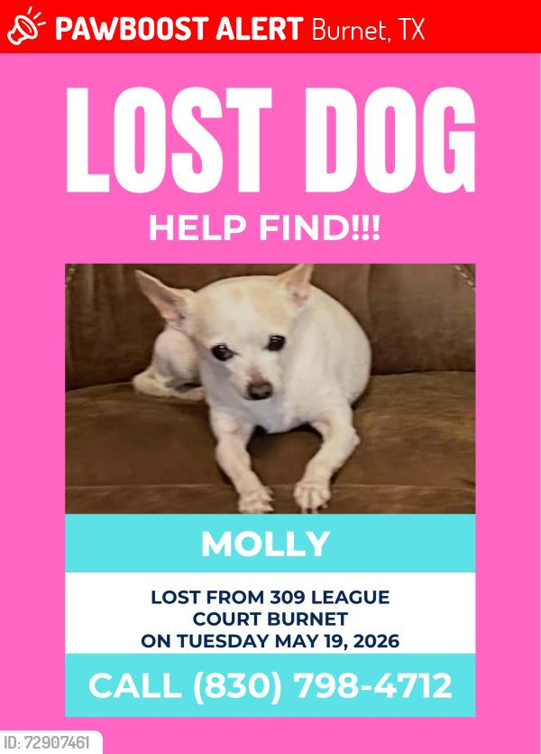 Lost Female Dog last seen Coke St, Burnet, TX 78611