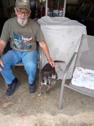 Reunited Male Dog last seen Duncan Rd., Atoka, TN 38004