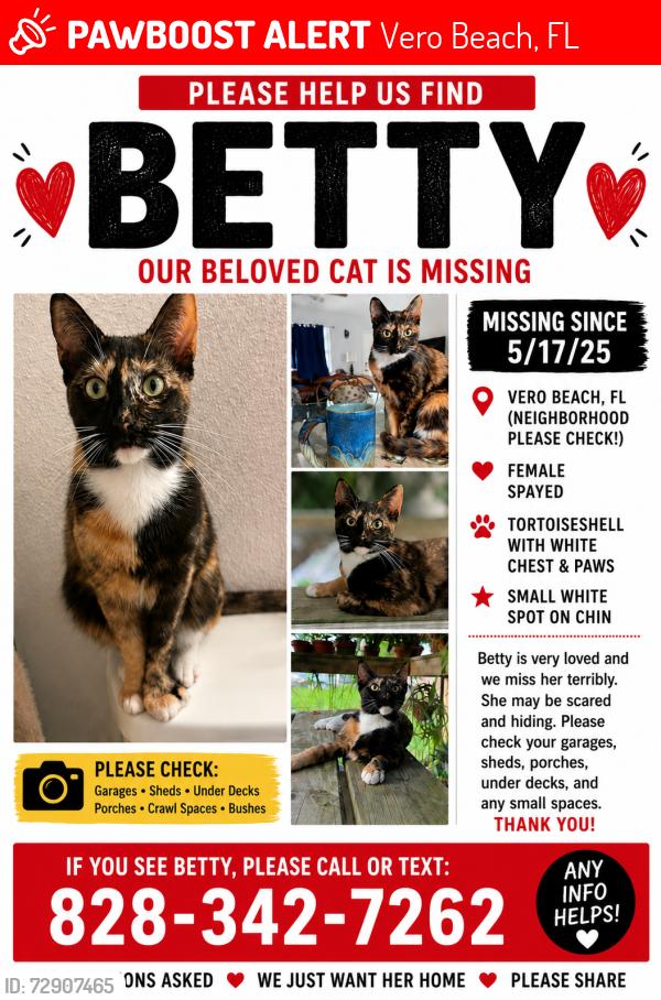 Lost Female Cat last seen Near 16th ave sw, Vero Beach, FL 32960
