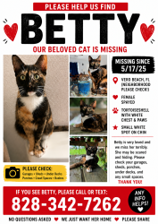 Lost Female Cat last seen Near 16th ave sw, Vero Beach, FL 32960