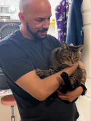 Lost Male Cat last seen Near aluthra way , Orlando, FL 32839