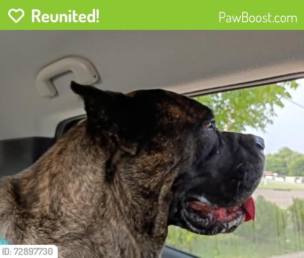Reunited Female Dog last seen Sunnylane and Veterans Lane, Del City, OK 73115