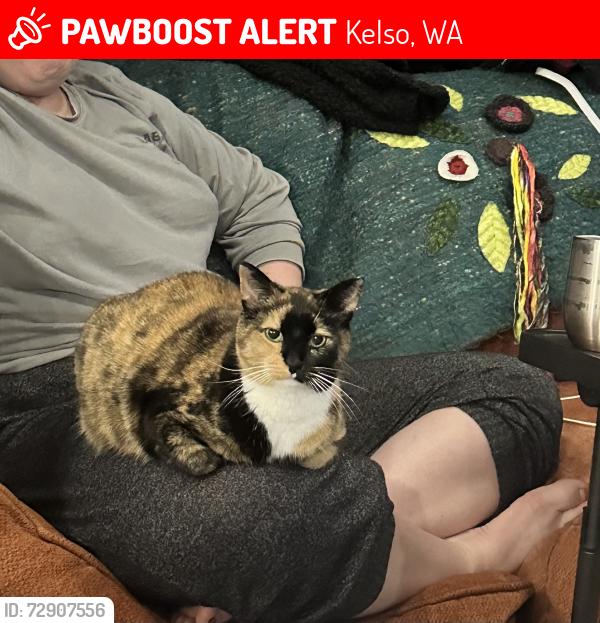 Lost Female Cat last seen Brookhollow RV Park, Kelso, WA 98626