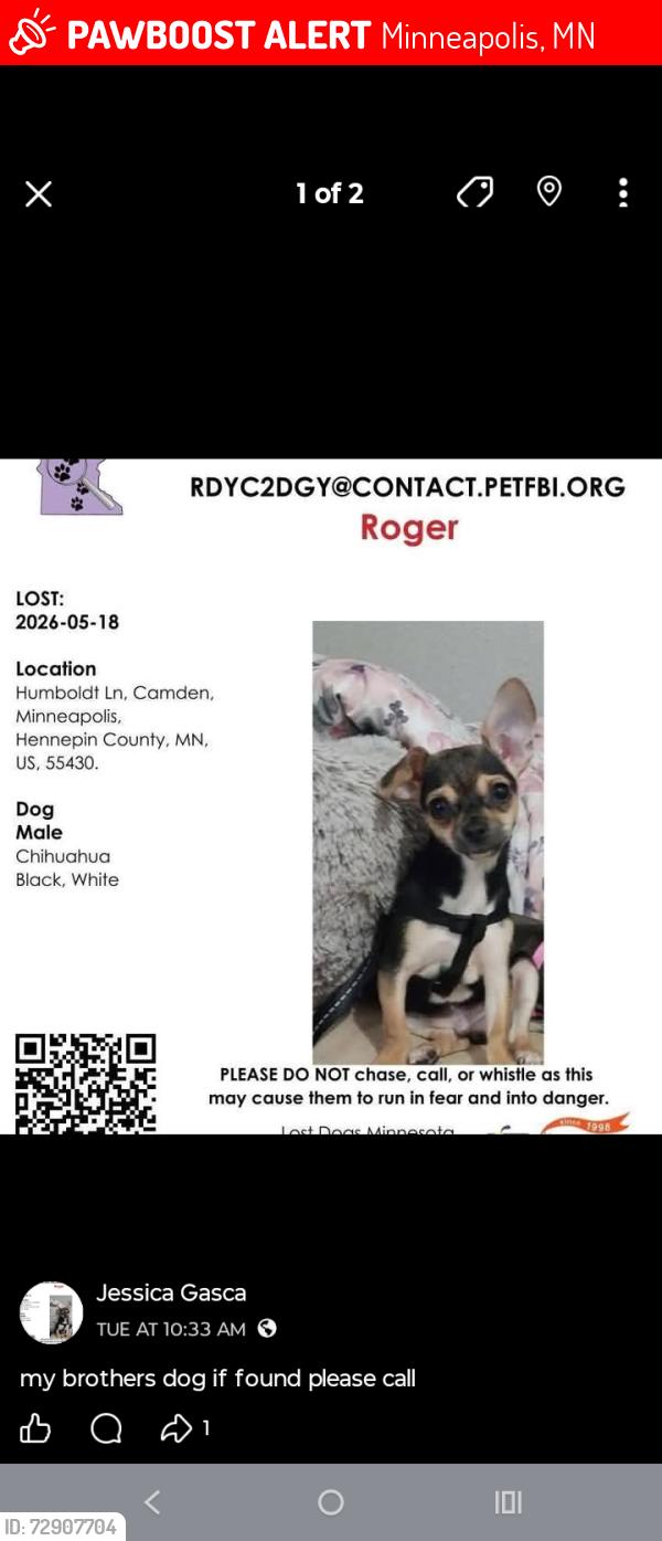Lost Male Dog last seen Near and Colfax ave north, Minneapolis, MN 55430