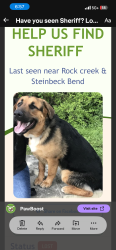 Reunited Unknown Dog last seen Behind the restaurant into the woods, Waco, TX 76708