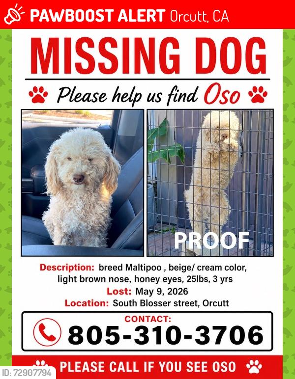Lost Male Dog last seen Solomon st & Clark , Orcutt, CA 93455