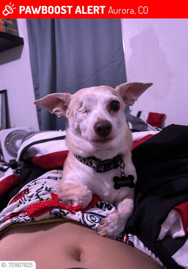 Lost Male Dog last seen Near S Victor Street, Aurora, CO 80014