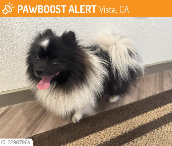 Found/Stray Male Dog last seen N Santa Fe Ave, Vista, CA 92084
