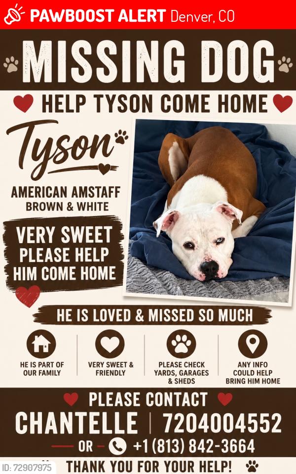 Lost Male Dog last seen Colfax and moline, Denver, CO 80206