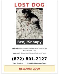 Lost Male Dog last seen Montrose and Broadway, Chicago, IL 60613