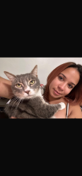 Lost Male Cat last seen Community home, Pompano Beach, FL 33060
