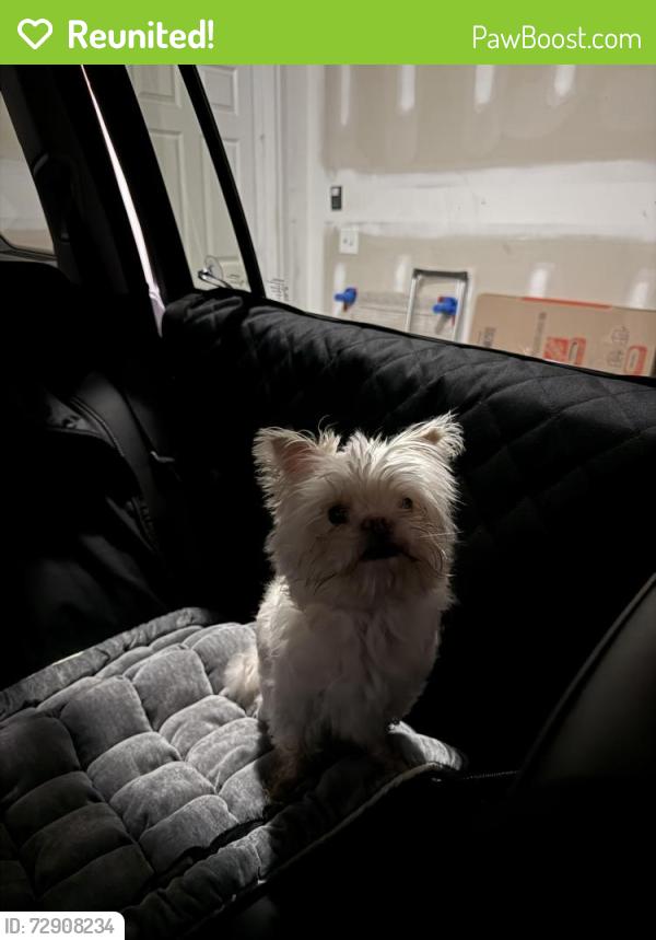 Reunited Female Dog last seen Hanover Ct, Clayton, NC 27527